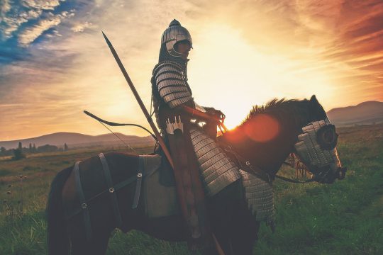 Upoznavanje vitez